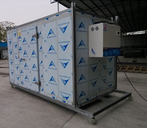 �Ƅ�(d��ng)���